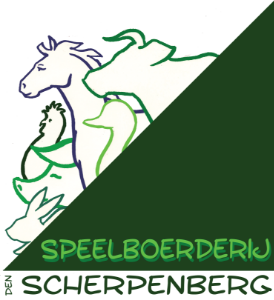 1x opgave kinderbuurtfeest